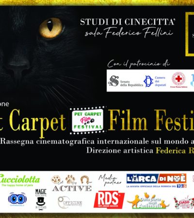 La Clessidra è media partner del Pet Carpet Film Festival