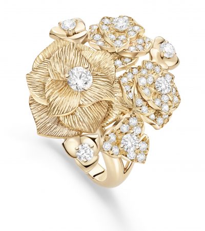 LE ROSE DI PIAGET CONTINUANO A SBOCCIARE